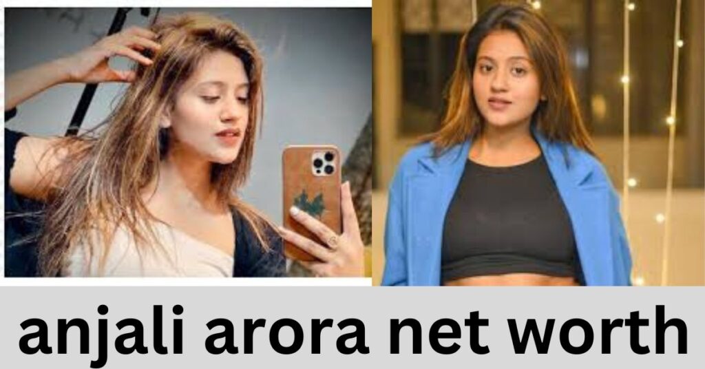 Anjali Arora net worth